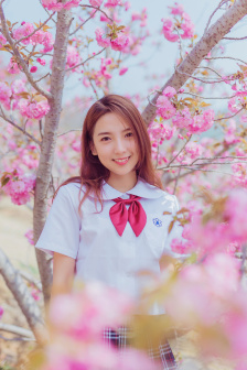 傻儿司令